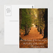 Carte Postale Forêt d'automne (Devant / Derrière)