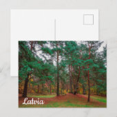 Carte Postale Forêt d'automne (Devant / Derrière)