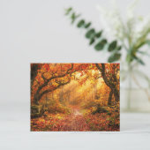 Carte Postale Forêt d'automne (Debout devant)