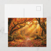 Carte Postale Forêt d'automne (Devant / Derrière)