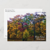 Carte Postale Forêt d'automne sombre (Devant / Derrière)