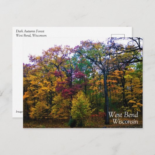 Carte Postale Forêt d'automne sombre (Devant / Derrière)