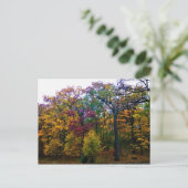 Carte Postale Forêt d'automne sombre (Debout devant)