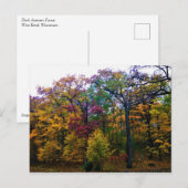 Carte Postale Forêt d'automne sombre (Devant / Derrière)