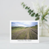 Carte Postale Forêt de Ashdown (Debout devant)