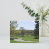 Carte Postale Forêt de Bernheim (Debout devant)