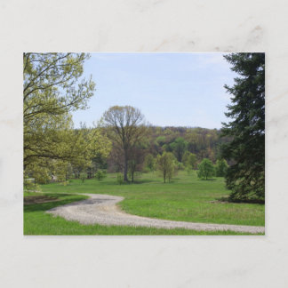 Carte Postale Forêt de Bernheim