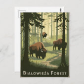 Carte Postale Forêt de Bialowieza Pologne vintage (Devant / Derrière)