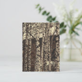 Carte Postale Forêt de Birch Nature (Debout devant)