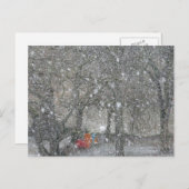 Carte Postale Forêt de Blizzard (Devant / Derrière)