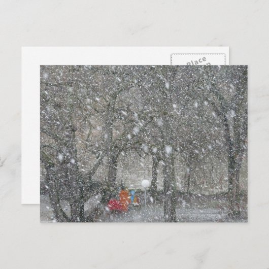 Carte Postale Forêt de Blizzard (Devant / Derrière)