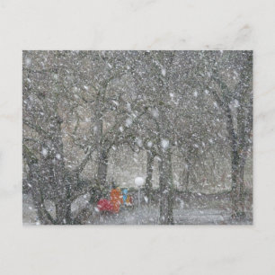 Carte Postale Forêt de Blizzard