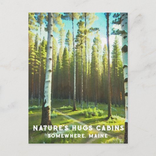 Carte Postale *~* Forêt de bouleau de Maine Épicéas AP49 (Devant)