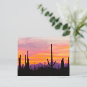 Carte Postale Forêt de cactus saguaro au coucher du soleil (Debout devant)