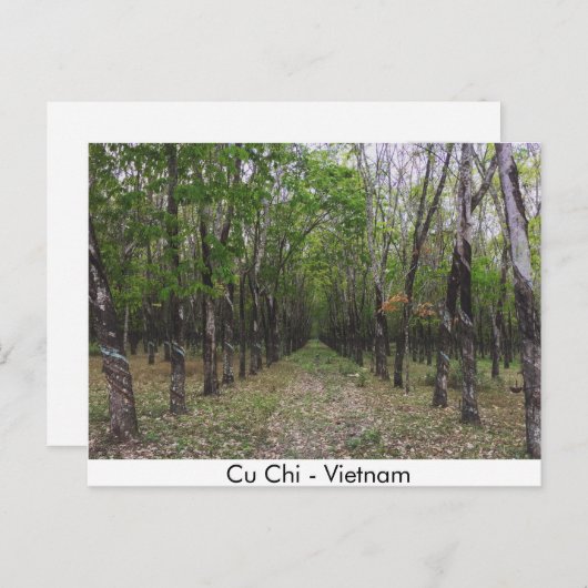Carte Postale Forêt de caoutchouc - Cu Chi - Vietnam (Devant / Derrière)