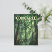 Carte Postale Forêt de Congaree (Debout devant)