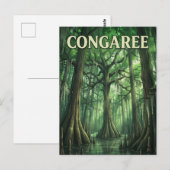 Carte Postale Forêt de Congaree (Devant / Derrière)