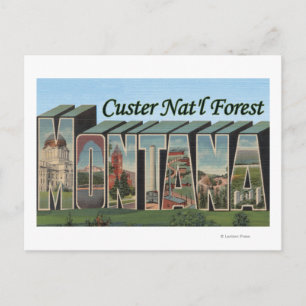 Carte Postale Forêt de Custer Nat'l, Montana