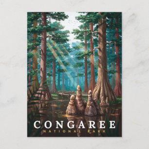 Carte Postale Forêt de cyprès du parc national de Congaree