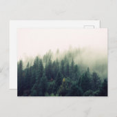 Carte Postale Forêt de Foggy (Devant / Derrière)