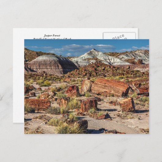 Carte Postale Forêt de Jasper (Devant / Derrière)