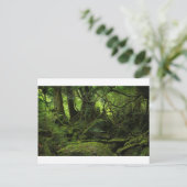 Carte Postale Forêt de la Mousse (Debout devant)