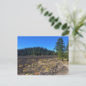 Carte Postale Forêt de lave, Oregon (Debout devant)