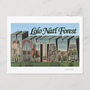 Carte Postale Forêt de Lolo Nat'l, Montana