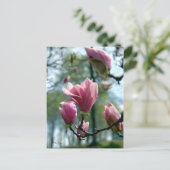 Carte Postale Forêt de Magnolia (Debout devant)
