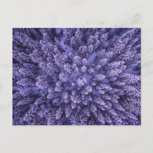 Carte Postale Forêt de neige norvégienne (Devant)