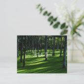 Carte Postale Forêt de palmiers Merci (Debout devant)