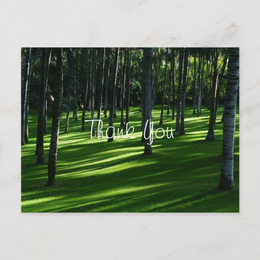 Carte Postale Forêt de palmiers Merci (Devant)