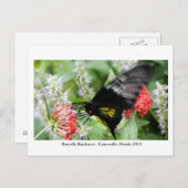 Carte Postale Forêt de papillons - Gainesville, FL 006 (Devant / Derrière)