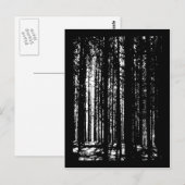 Carte Postale forêt de pins (Devant / Derrière)