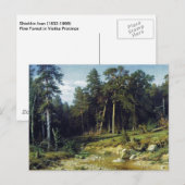 Carte Postale Forêt de pins dans la province de Viatka (Devant / Derrière)