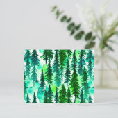 Carte Postale Forêt de pins de montagne (Debout devant)