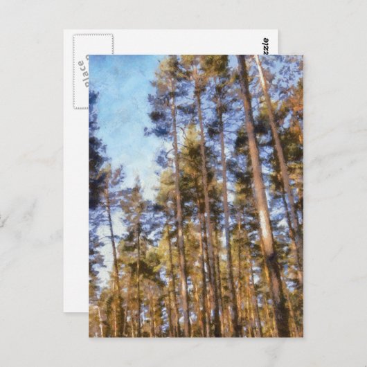 Carte Postale Forêt de Piny (Devant / Derrière)