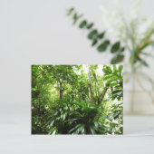 Carte Postale Forêt de pluie dominicaine I Nature verte tropical (Debout devant)