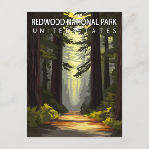 Carte Postale Forêt de randonnée du parc national de Redwood