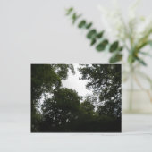 Carte postale Forêt déplaisante (Debout devant)
