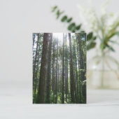 Carte Postale Forêt des îles Vancover (Debout devant)