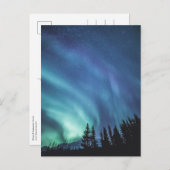 Carte Postale Forêt des Lumières du Nord (Devant / Derrière)