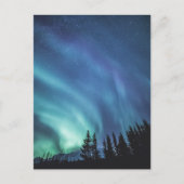 Carte Postale Forêt des Lumières du Nord (Devant)