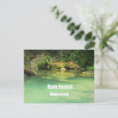 Carte Postale Forêt des pluies, Guatemala (Debout devant)