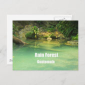 Carte Postale Forêt des pluies, Guatemala (Devant / Derrière)