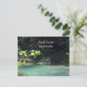 Carte Postale Forêt des pluies, Guatemala (Debout devant)