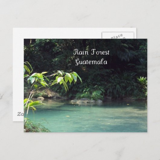 Carte Postale Forêt des pluies, Guatemala (Devant / Derrière)