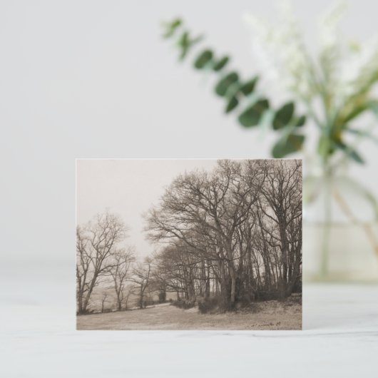 Carte Postale Forêt d'hiver (Debout devant)