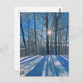 Carte Postale Forêt d'hiver avec paysage de neige (Devant / Derrière)