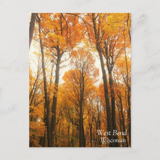 Carte Postale Forêt d'Orange (Devant)